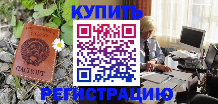 временная регистрация поиск в Гудермесе